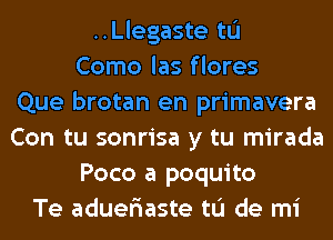 ..Llegaste tu
Como las flores
Que brotan en primavera
Con tu sonrisa y tu mirada
Poco a poquito
Te adueriaste to de mi