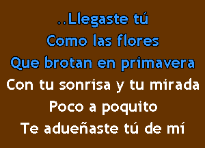 ..Llegaste tu
Como las flores
Que brotan en primavera
Con tu sonrisa y tu mirada
Poco a poquito
Te adueriaste to de mi