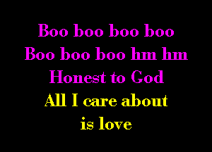 Boo boo boo boo

Boo boo boo hm hm
Honest to God
All I care about

is love
