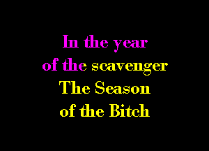 In the year

of the scavenger

The Season
of the Bitch