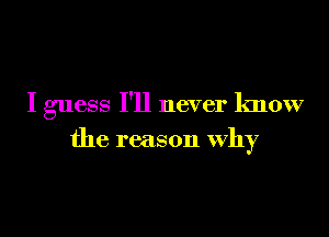 I guess I'll never know

the reason why