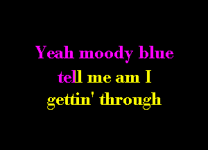Yeah moody blue

tell me am I

gettin' through

g