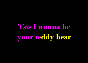 'Cos I wanna be

your teddy bear