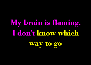 My brain is flaming.
I don't know Which

way to go