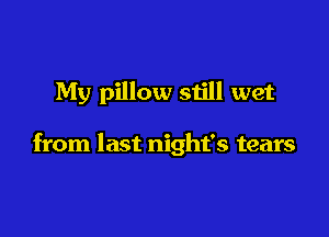 My pillow still wet

from last night's tears