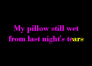 My pillow still wet

from last night's tears