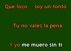 Que) loco, ..soy un tonto

..TIJ no vales la pena

Y yo me muero sin ti