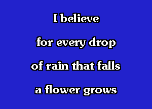 I believe

for every drop

of rain that falls

a flower grows