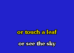 or touch a leaf

or see the sky