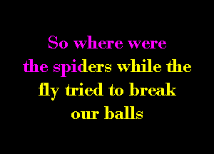 So Where were

the Spiders While the
fly tried to break
our balls