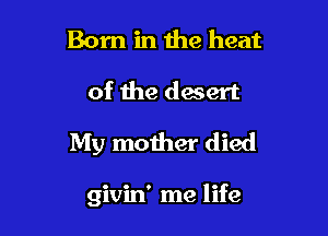 Born in 1119 heat

of the desert

My mother died

givin' me life