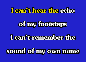 I can't hear the echo
of my footsteps
I can't remember the

sound of my own name