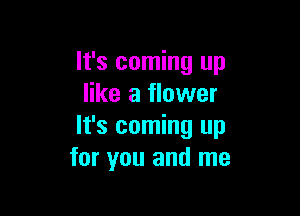 It's coming up
like a flower

It's coming up
for you and me