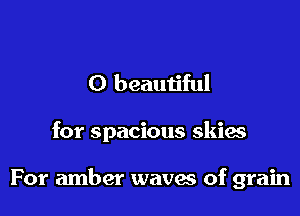 0 beautiful

for spacious skies

For amber waves of grain