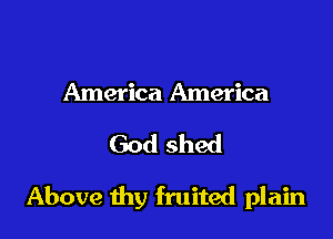 America America
God shed

Above thy fruited plain