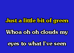Just a little bit of green
Whoa oh oh clouds my

eyes to what I've seen
