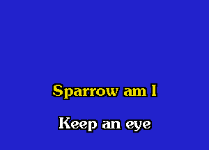 Sparrow am I

Keep an eye
