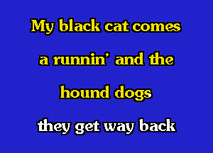 My black cat comes
a runnin' and the
hound dogs

they get way back