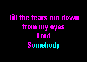 Till the tears run down
from my eyes

Lord
Somebody