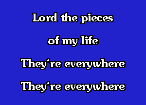 Lord the pieces
of my life

They're everywhere

They're everywhere