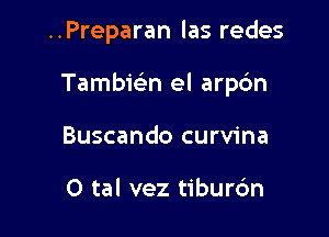 ..Preparan las redes

Tambwn el arp6n

Buscando curvina

0 tal vez tiburc'm