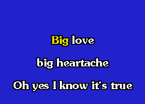 Big love

big heartache

Oh yes I know it's true