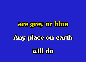 are grey or blue

Any place on earth

will do