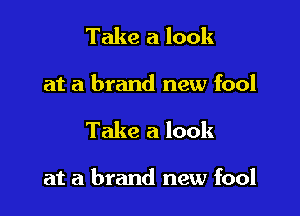 Take a look
at a brand new fool

Take a look

at a brand new fool