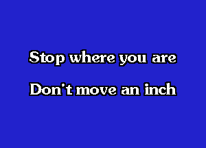 Stop where you are

Don't move an inch
