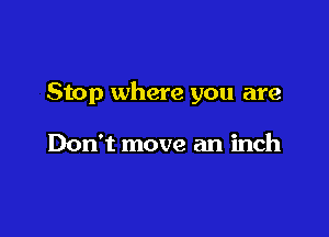 Stop where you are

Don't move an inch