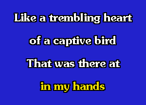 Like a trembling heart
of a captive bird
That was there at

in my hands
