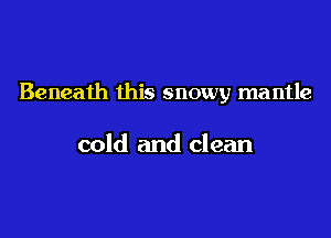 Beneath this snowy mantle

cold and clean