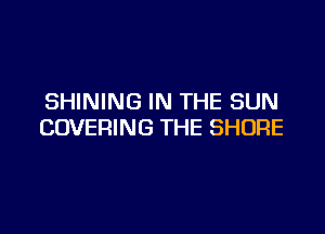 SHINING IN THE SUN

COVERING THE SHORE