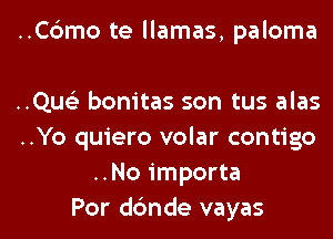..C6mo te llamas, paloma

..Qus'3 bonitas son tus alas

..Yo quiero volar contigo
..No importa

Por dc'mde vayas