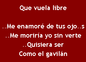 Que vuela libre

..Me enamom de tus ojo..s

..Me moriria yo sin verte
..Quisiera ser
Como el gavilrim