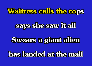 Waitress calls the cops
says she saw it all

Swears a giant alien

has landed at the mall