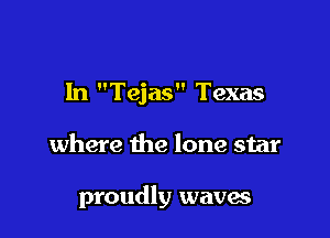 In Tejas Texas

where the lone star

proudly waves