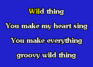 Wild thing
You make my heart sing

You make everything

groovy wild thing