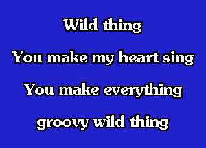 Wild thing
You make my heart sing

You make everything

groovy wild thing