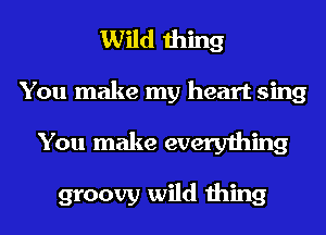 Wild thing
You make my heart sing

You make everything

groovy wild thing