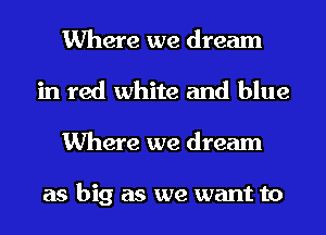Where we dream
in red white and blue
Where we dream

as big as we want to
