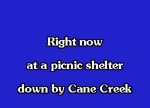 Right now

at a picnic shelter

down by Cane Creek
