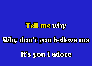 Tell me why

Why don't you believe me

It's you I adore