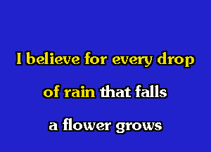 I believe for every drop
of rain that falls

a flower grows