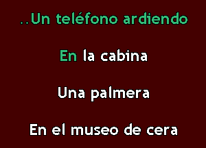 ..Un telotifono ardiendo

En la cabina

Una palmera

En el museo de cera