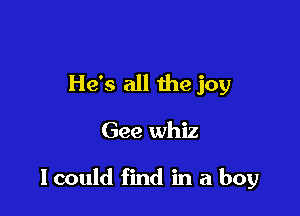 He's all the joy

Gee whiz

I could find in a boy