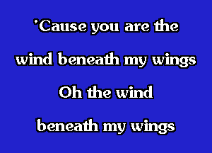 'Cause you are the
wind beneath my wings

Oh the wind

beneath my wings
