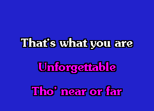 That's what you are