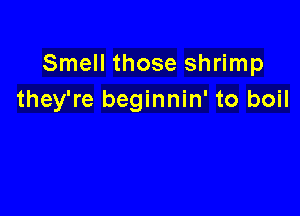 Smell those shrimp
they're beginnin' to boil