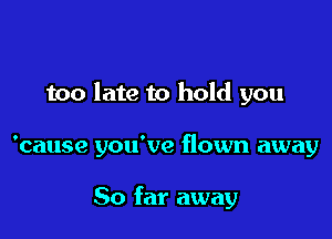 too late to hold you

'cause you've flown away

So far away